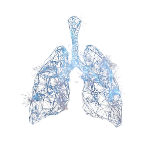 Polygonal Lungs Art Vinyl Car Decal Sticker – Waterproof & UV-Resistant 3.4133333333333336"