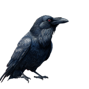 Fantasy Raven V3 Vinyl Car Decal Sticker – Waterproof & UV-Resistant 3.4133333333333336"