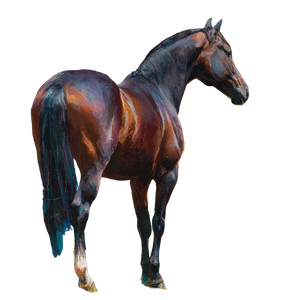 Dark Brown Horse V3 Vinyl Car Decal Sticker – Waterproof & UV-Resistant 3.4133333333333336"