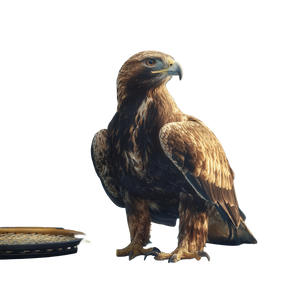 Golden Eagle Perched V5 Vinyl Car Decal Sticker – Waterproof & UV-Resistant 6.826666666666667"