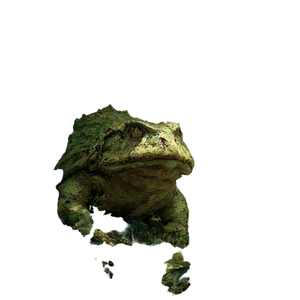 Giant Jungle Frog V2 Vinyl Car Decal Sticker – Waterproof & UV-Resistant 3.4133333333333336"