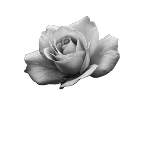 Hyper Realistic Rose V2 Vinyl Car Decal Sticker – Waterproof & UV-Resistant 3.4133333333333336"