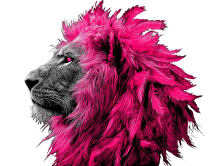 Pink Feather Lion Vinyl Car Decal Sticker – Waterproof & UV-Resistant 3.2"