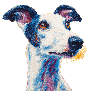 White Whippet Dog V2 Vinyl Car Decal Sticker – Waterproof & UV-Resistant 3.4133333333333336" White Whippet Dog V2 Vinyl Car Decal Sticker – Waterproof & UV-Resistant 3.4133333333333336"