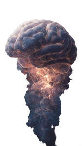 Evolving Brain Vinyl Car Decal Sticker – Waterproof & UV-Resistant 4.8533333333333335"