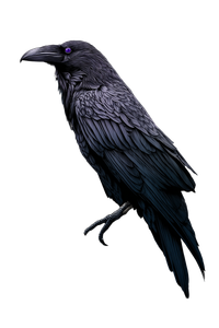Violet-Eyed Crow Vinyl Car Decal Sticker – Waterproof & UV-Resistant 8.96"