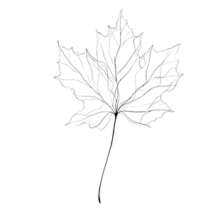 Autumn Leaf Vinyl Car Decal Sticker – Waterproof & UV-Resistant 3.4133333333333336"