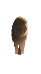 Desert Lion Companion Vinyl Car Decal Sticker – Waterproof & UV-Resistant 9.706666666666667"