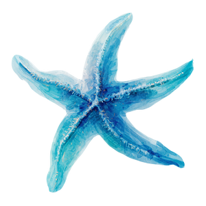 Blue Turquoise Starfish Vinyl Car Decal Sticker – Waterproof & UV-Resistant 6.826666666666667"