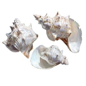 White Shells Up Vinyl Car Decal Sticker – Waterproof & UV-Resistant 3.4133333333333336"