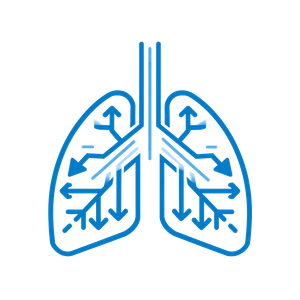 Lungs Vector Illustration Vinyl Car Decal Sticker – Waterproof & UV-Resistant 6.826666666666667"