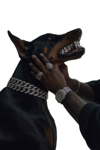 Doberman With Grillz V3 Vinyl Car Decal Sticker – Waterproof & UV-Resistant 8.96"