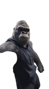 Gorilla Gym Selfie V2 Vinyl Car Decal Sticker – Waterproof & UV-Resistant 9.706666666666667"