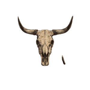 Rustic Longhorn Skull Vinyl Car Decal Sticker – Waterproof & UV-Resistant 6.826666666666667"
