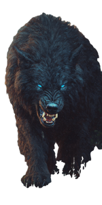 Dire Wolf Snarl V2 Vinyl Car Decal Sticker – Waterproof & UV-Resistant 10.2