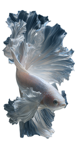 Crystal Betta Fish Vinyl Car Decal Sticker – Waterproof & UV-Resistant 5.12"