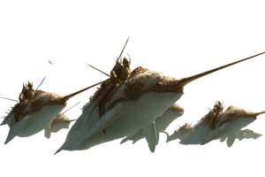 Armored Narwhal Leap Vinyl Car Decal Sticker – Waterproof & UV-Resistant 2.986666666666667"