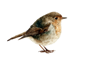 Winter Bird Scene Vinyl Car Decal Sticker – Waterproof & UV-Resistant 3.0 Winter Bird Scene Vinyl Car Decal Sticker – Waterproof & UV-Resistant 3.0
