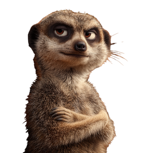 Smug Meerkat Vinyl Car Decal Sticker – Waterproof & UV-Resistant 3.4133333333333336"