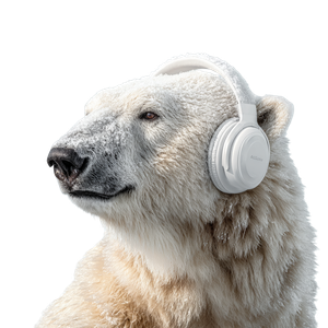 Thoughtful Polar Bear Vinyl Car Decal Sticker – Waterproof & UV-Resistant 6.826666666666667"