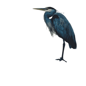 Majestic Heron Vinyl Car Decal Sticker – Waterproof & UV-Resistant 3.4133333333333336"