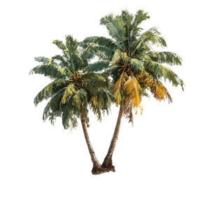Tropical Palm Trees V2 Vinyl Car Decal Sticker – Waterproof & UV-Resistant 3.4133333333333336"