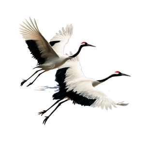 Graceful Cranes Flight V6 Vinyl Car Decal Sticker – Waterproof & UV-Resistant 3.4133333333333336"