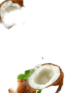 Greenland Coconut Vinyl Car Decal Sticker – Waterproof & UV-Resistant 4.1066666666666665"