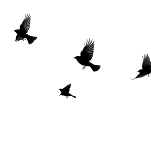 Flying Birds Silhouette V6 Vinyl Car Decal Sticker – Waterproof & UV-Resistant 6.826666666666667"