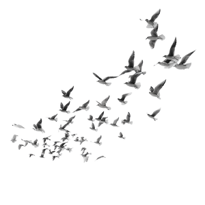 Flying Birds Formation Vinyl Car Decal Sticker – Waterproof & UV-Resistant 3.4133333333333336"