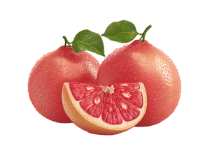 Fresh Grapefruit Render Vinyl Car Decal Sticker – Waterproof & UV-Resistant 6.1866666666666665"