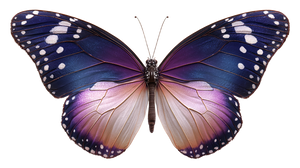 Violet Pink Butterfly Vinyl Car Decal Sticker – Waterproof & UV-Resistant 2.72"