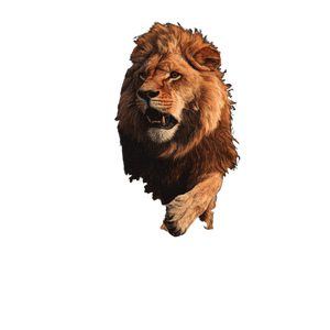 Roaring Orange Lion Vinyl Car Decal Sticker – Waterproof & UV-Resistant 3.4133333333333336"
