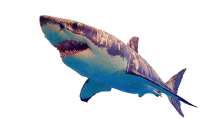 Impressionist Shark Vinyl Car Decal Sticker – Waterproof & UV-Resistant 2.72"