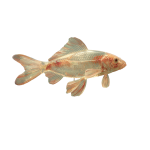 Transparent Mutant Fish Vinyl Car Decal Sticker – Waterproof & UV-Resistant 3.4133333333333336"