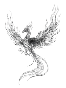 Minimalist Phoenix Vinyl Car Decal Sticker – Waterproof & UV-Resistant 8.213333333333333"