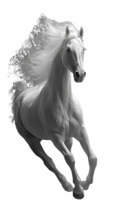 Smoke Horse V2 Vinyl Car Decal Sticker – Waterproof & UV-Resistant 9.706666666666667"