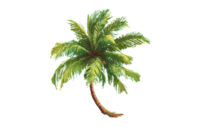 Beach Palm Tree Vinyl Car Decal Sticker – Waterproof & UV-Resistant 5.97333333333333