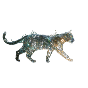 Water Cat V3 Vinyl Car Decal Sticker – Waterproof & UV-Resistant 6.826666666666667"