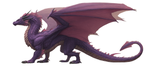 Purple Dragon V7 Vinyl Car Decal Sticker – Waterproof & UV-Resistant 2.