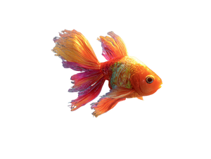 Tropical Colorful Fish Vinyl Car Decal Sticker – Waterproof & UV-Resistant 6.1866666666666665"