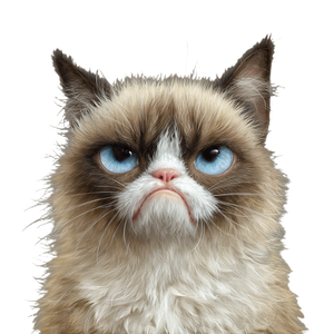 Grumpy Cat V7 Vinyl Car Decal Sticker – Waterproof & UV-Resistant 3.4133333333333336"