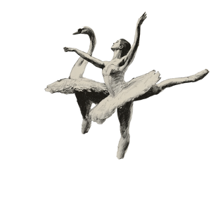 Ballet Sketch Vinyl Car Decal Sticker – Waterproof & UV-Resistant 3.4133333333333336"