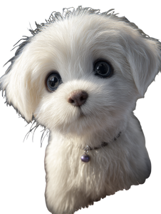 Cute Fluffy Puppy Vinyl Car Decal Sticker – Waterproof & UV-Resistant 8.213333333333333" Cute Fluffy Puppy Vinyl Car Decal Sticker – Waterproof & UV-Resistant 8.213333333333333"