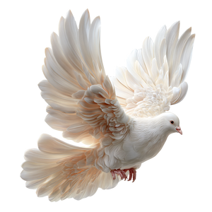 White Dove Soaring V2 Vinyl Car Decal Sticker – Waterproof & UV-Resistant 3.4133333333333336"