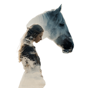 Centaur Girl Vinyl Car Decal Sticker – Waterproof & UV-Resistant 3.4133333333333336"