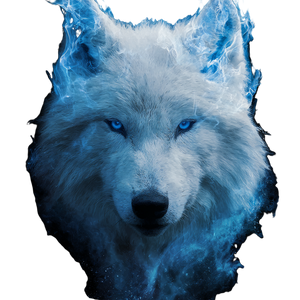 Blue-Eyed White Wolf Vinyl Car Decal Sticker – Waterproof & UV-Resistant 3.4133333333333336"