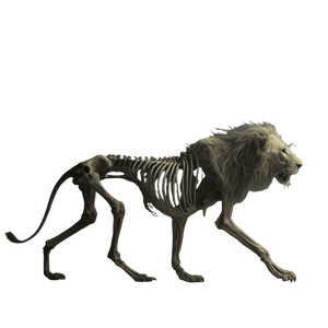 Skeletal Lion Vinyl Car Decal Sticker – Waterproof & UV-Resistant 3.4133333333333336"