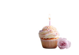 Birthday Cupcake V2 Vinyl Car Decal Sticker – Waterproof & UV-Resistant 3.0