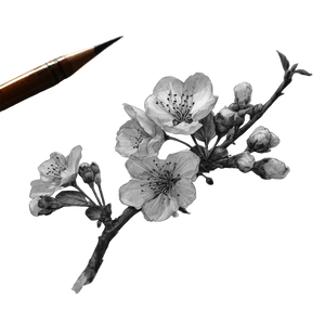 Cherry Blossom Branch V27 Vinyl Car Decal Sticker – Waterproof & UV-Resistant 3.4133333333333336"